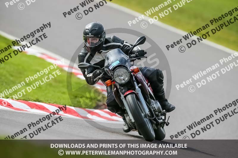 Oulton Park 21st March 2020;PJ Motorsport Photography 2020;anglesey;brands hatch;cadwell park;croft;donington park;enduro digital images;event digital images;eventdigitalimages;mallory;no limits;oulton park;peter wileman photography;racing digital images;silverstone;snetterton;trackday digital images;trackday photos;vmcc banbury run;welsh 2 day enduro